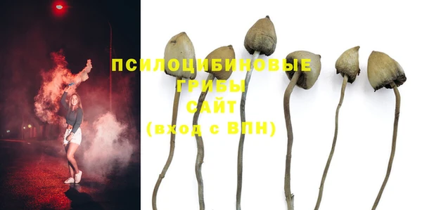 прущий лед Бородино
