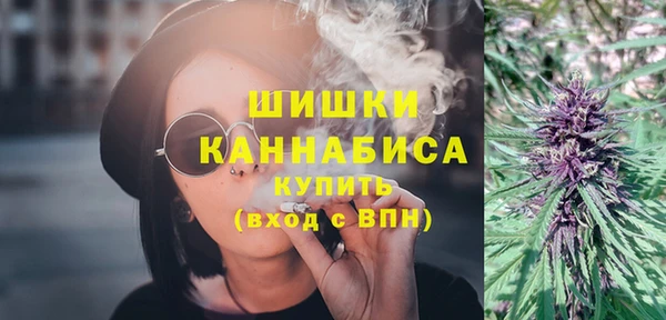 прущий лед Бородино