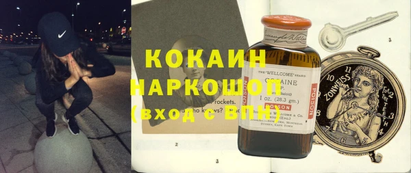 прущий лед Бородино