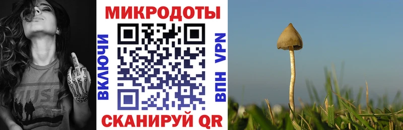 Псилоцибиновые грибы прущие грибы  сколько стоит  ссылка на мегу tor  Сретенск 